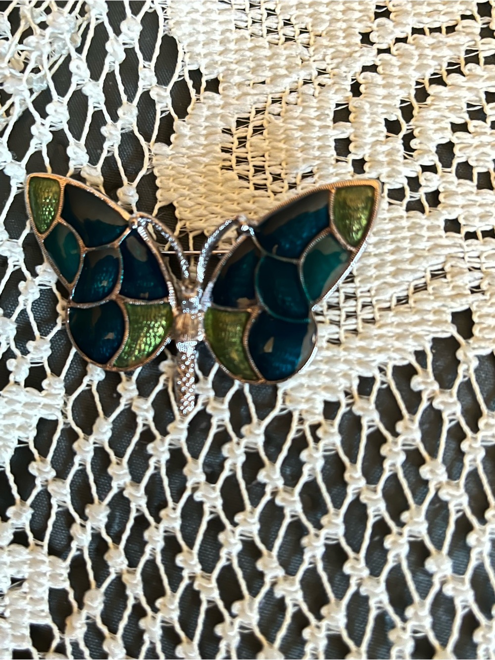 Beautiful butterfly pin